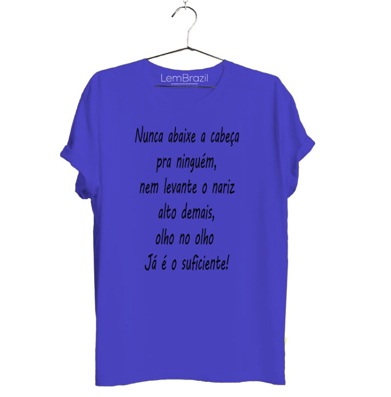 NUNCA-ABAICE-A-CABEÇA